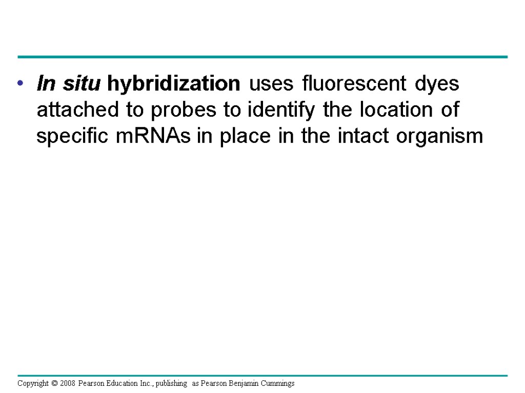 In situ hybridization uses fluorescent dyes attached to probes to identify the location of